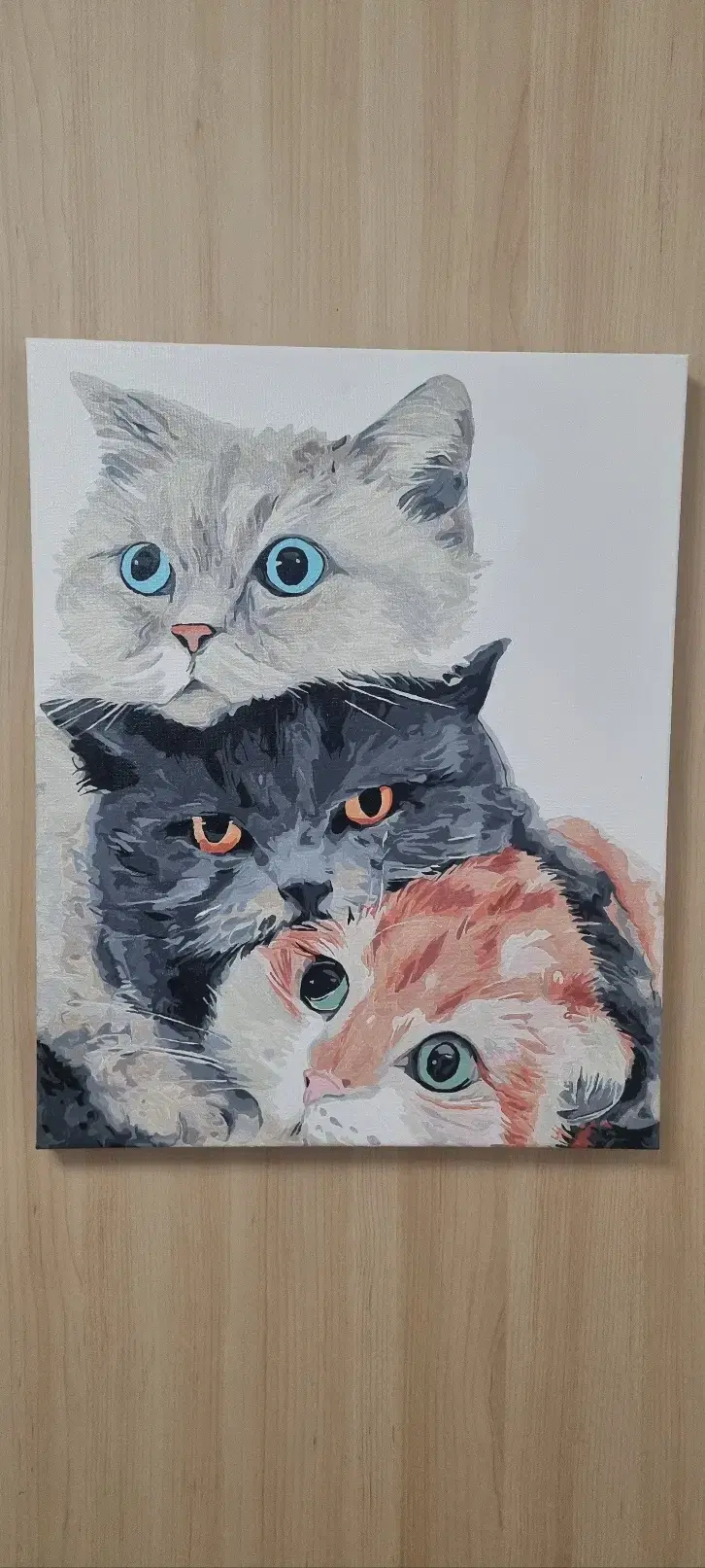 고양이그림2개